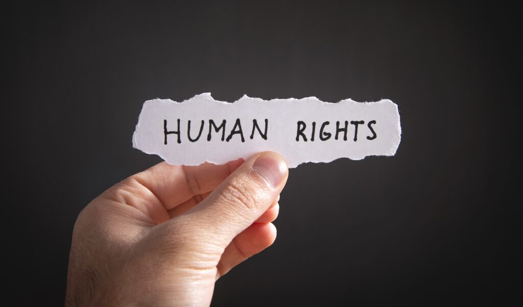 International Human Rights Law Course Online